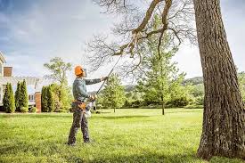 How Our Tree Care Process Works  in  Coudersport, PA