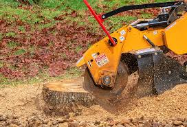Best Lawn Watering Services  in Coudersport, PA