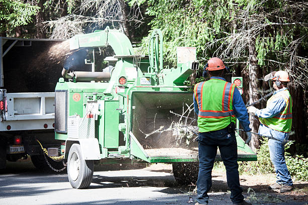 Best Grass Overseeding  in Coudersport, PA